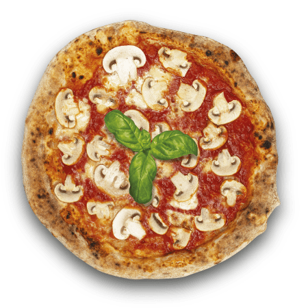 pizza-funghi-bio